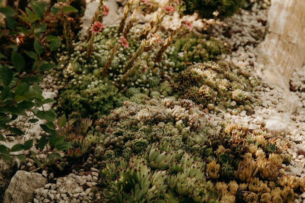 About Idaho Premier Landscaping